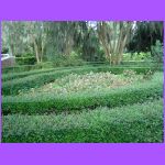 Rosedown Plantation Garden 12.jpg